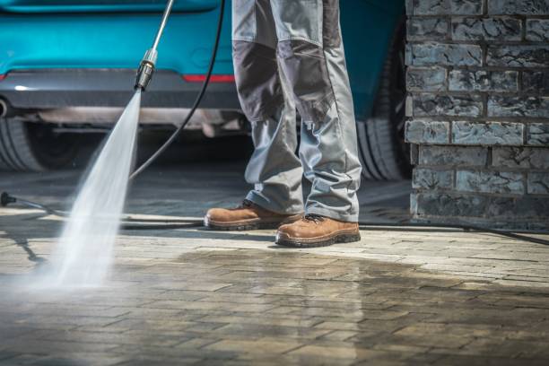 Best Gutter Cleaning  in Monte Alto, TX