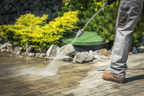 Best Pool Deck Cleaning  in Monte Alto, TX
