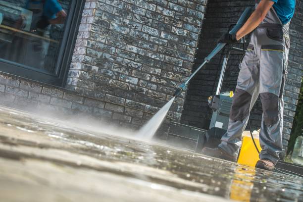 Best Animal Enclosure Cleaning  in Monte Alto, TX