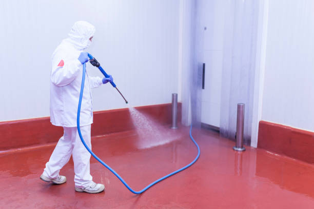 Boat and Dock Cleaning in Monte Alto, TX