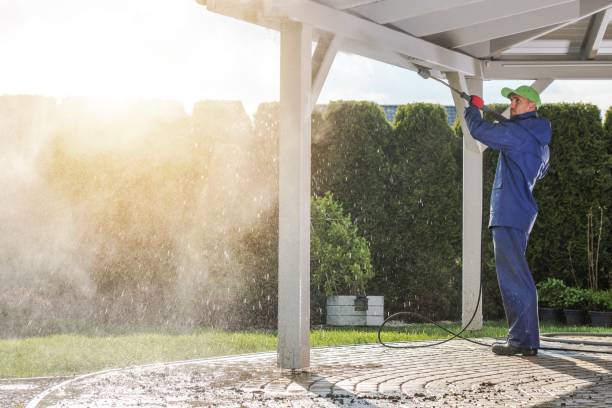 Trusted Monte Alto, TX Pressure Washing Services Experts
