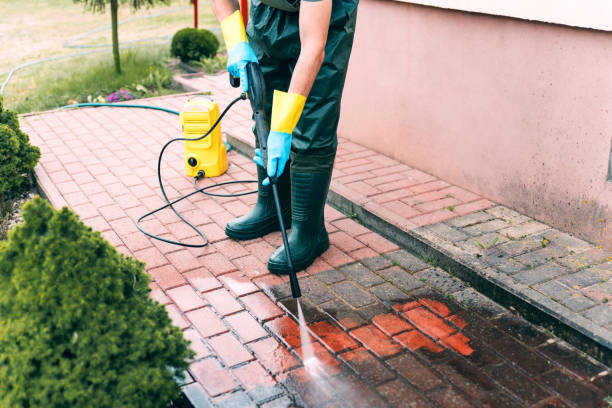 Best Parking Lot and Garage Cleaning  in Monte Alto, TX