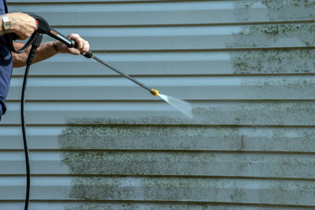 Best Driveway Pressure Washing  in Monte Alto, TX