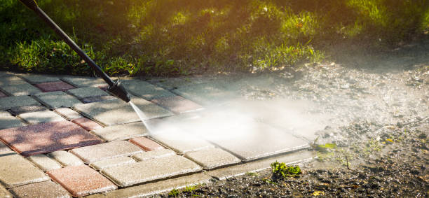 Best Graffiti Removal  in Monte Alto, TX