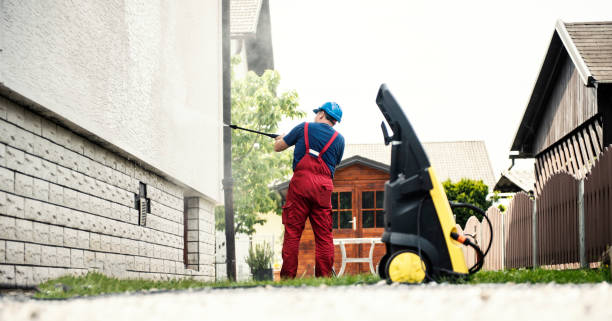 Best Solar Panel Cleaning  in Monte Alto, TX